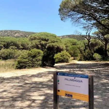Bergerie #casa Di Petra à Palombaggia Avec Piscine Villa *